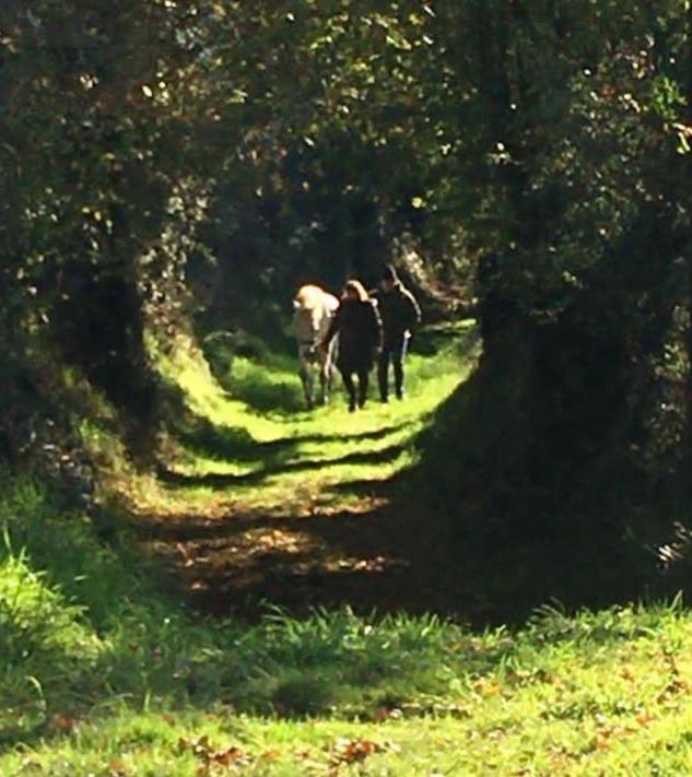Red Gate Saulgond
